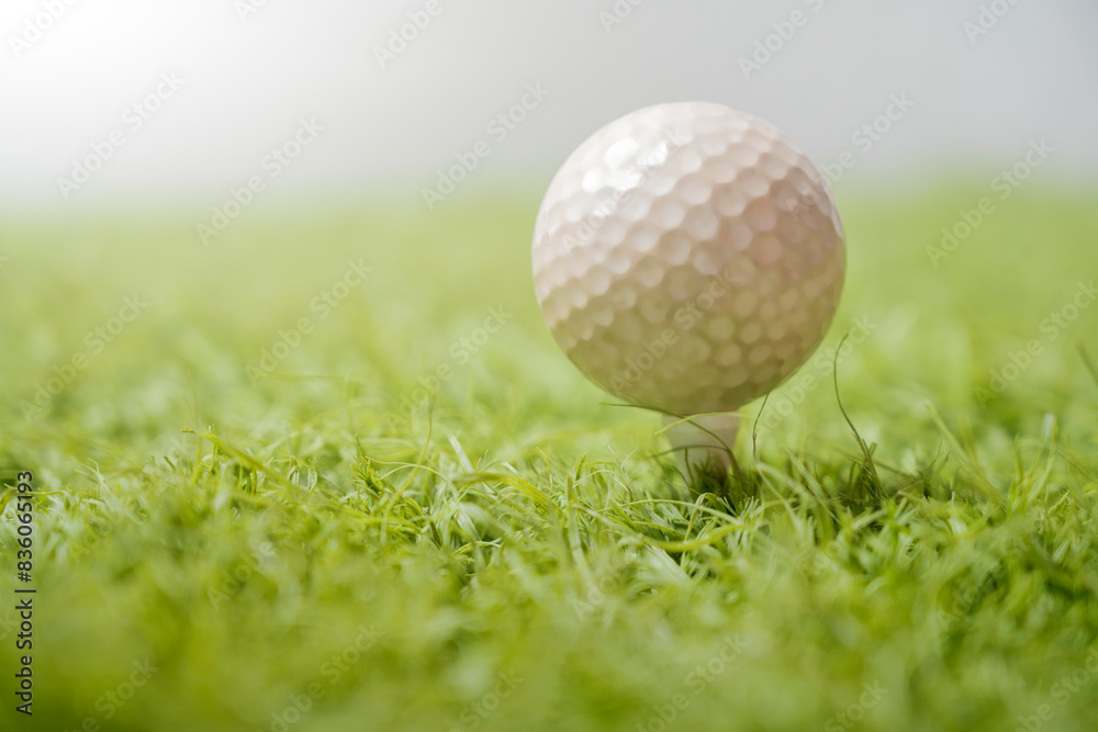 Closeup of golf ball on tee in lush grass Closeup of golf ball on tee in lush grass