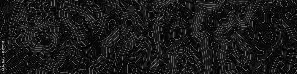 Fototapeta premium Imitation of a geographical map, white lines on black background, vector design