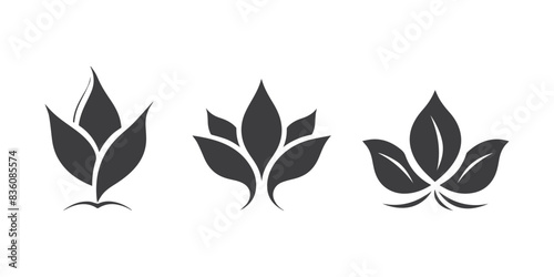 Beautiful black flowers. Vector illustration.	
