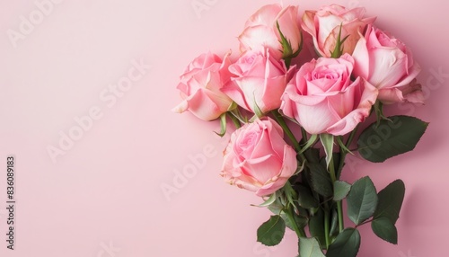 Wallpaper Mural Pink Roses: A Perfect Gift for Mother's Day, Valentine's Day, or Birthday Celebration Torontodigital.ca