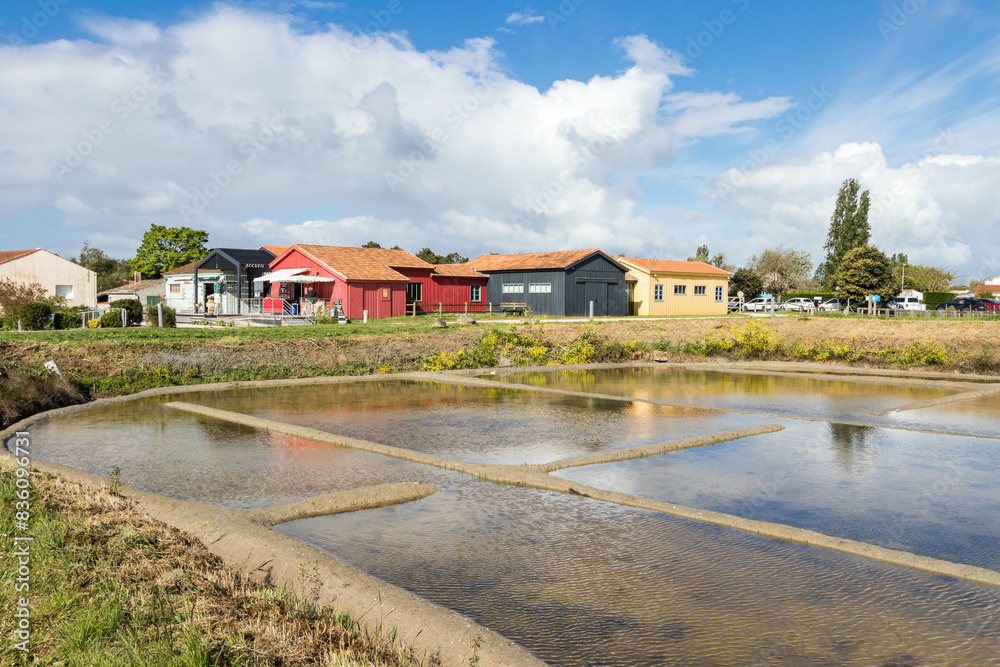 Fototapeta premium Le Port des Salines