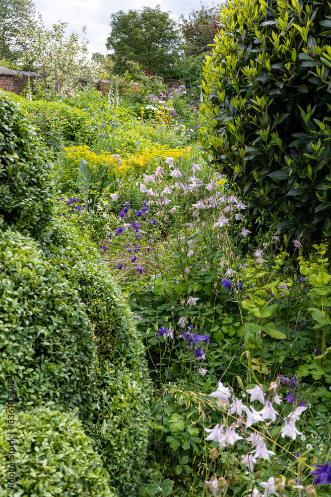 Colourful flowers in an English country garden in May Colourful flowers in an English country garden in May
