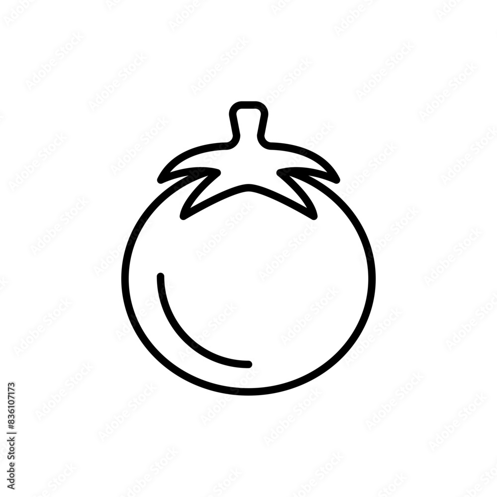 Tomato outline icons, minimalist vector illustration ,simple transparent graphic element .Isolated on white background