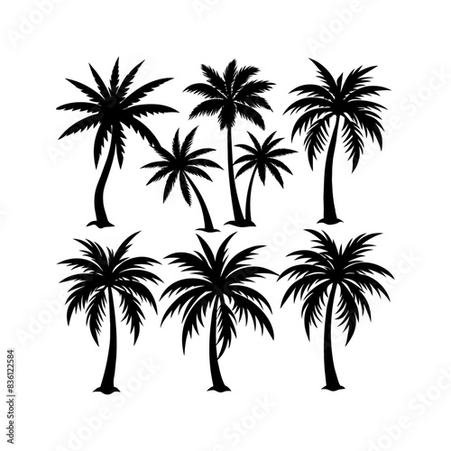 palm tree silhouettes