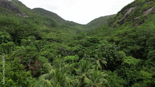 Drone Footage: Jungle at Anse Major, Mahe Island, Seychelles photo