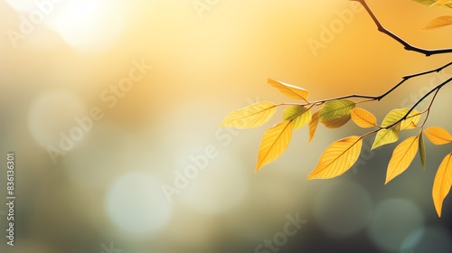 Wallpaper Mural Golden leaves on a branch against a blurred background of sunlight and nature. Torontodigital.ca
