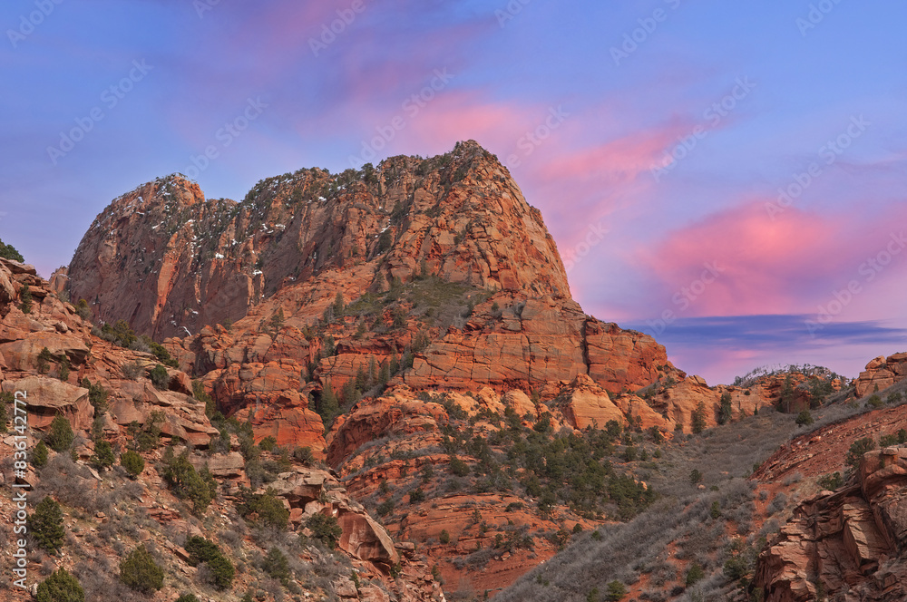 Landscape at dawn of cliff and forest, Kolob Canyons, Zion National Park, Utah, USA