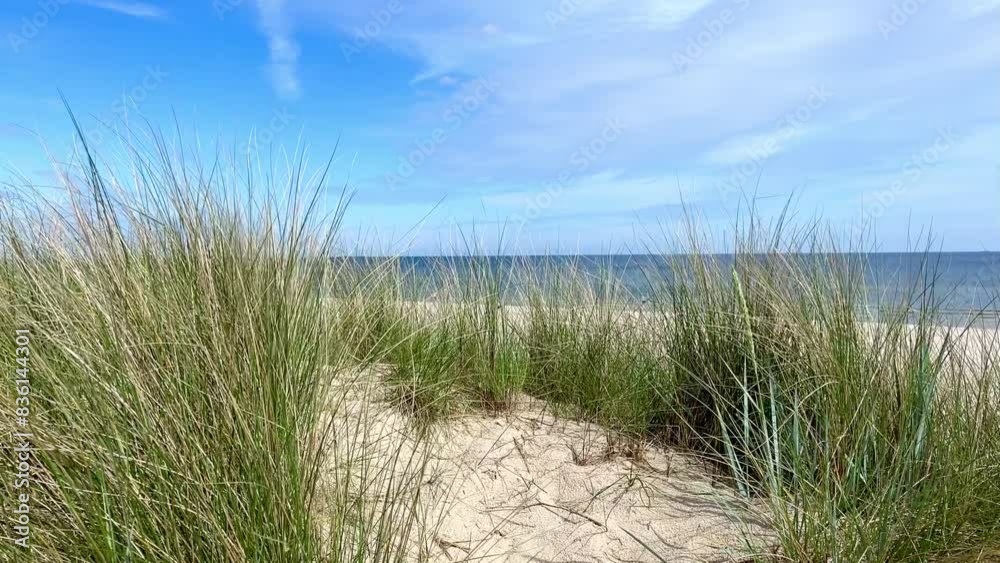 dunes at the Baltic Sea