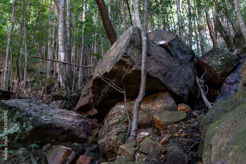 Korowal/Mt Solitary traverse in Blue Mountains National Park photo