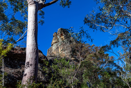 Korowal/Mt Solitary traverse in Blue Mountains National Park photo