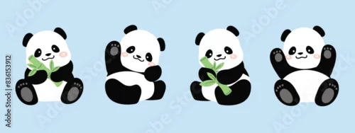 Fototapeta Cute Animal Panda characters set. Hand drawn wild animal cartoon design of panda in different pose, bamboo, sitting, sleeping. Adorable bear mascot illustration for sticker, clipart, education.