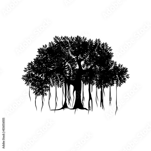Quadro em tela tree vector illustration. roots of banyan tree. banyan plant