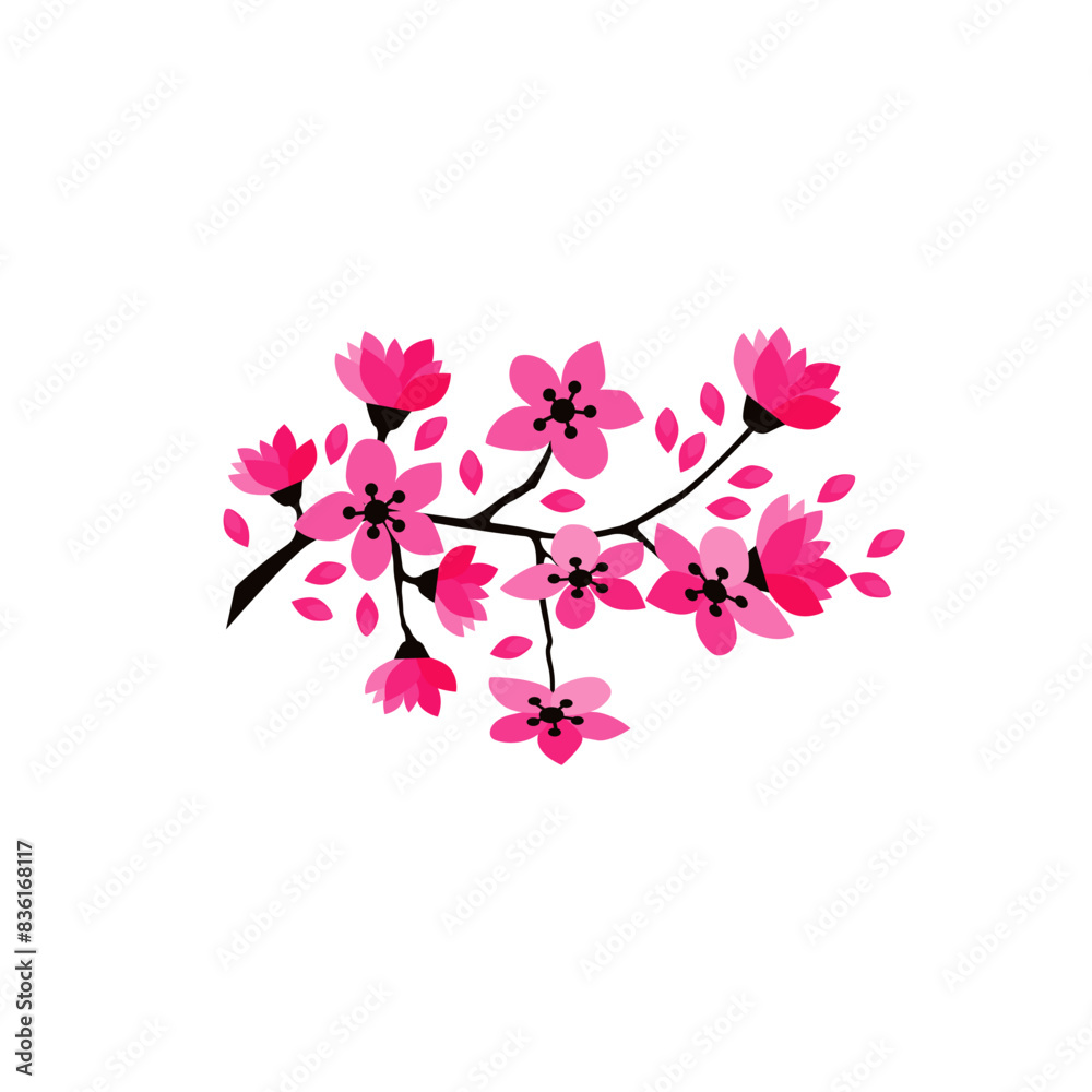 Cherry blossom branch with sakura flower. Cherry blossom branch with sakura flower.