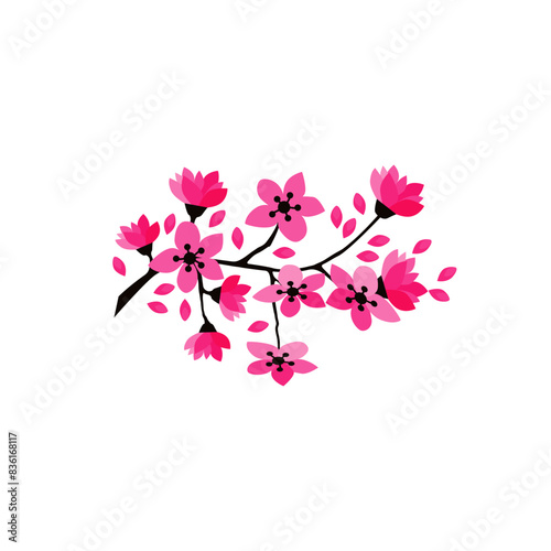 Cherry blossom branch with sakura flower.