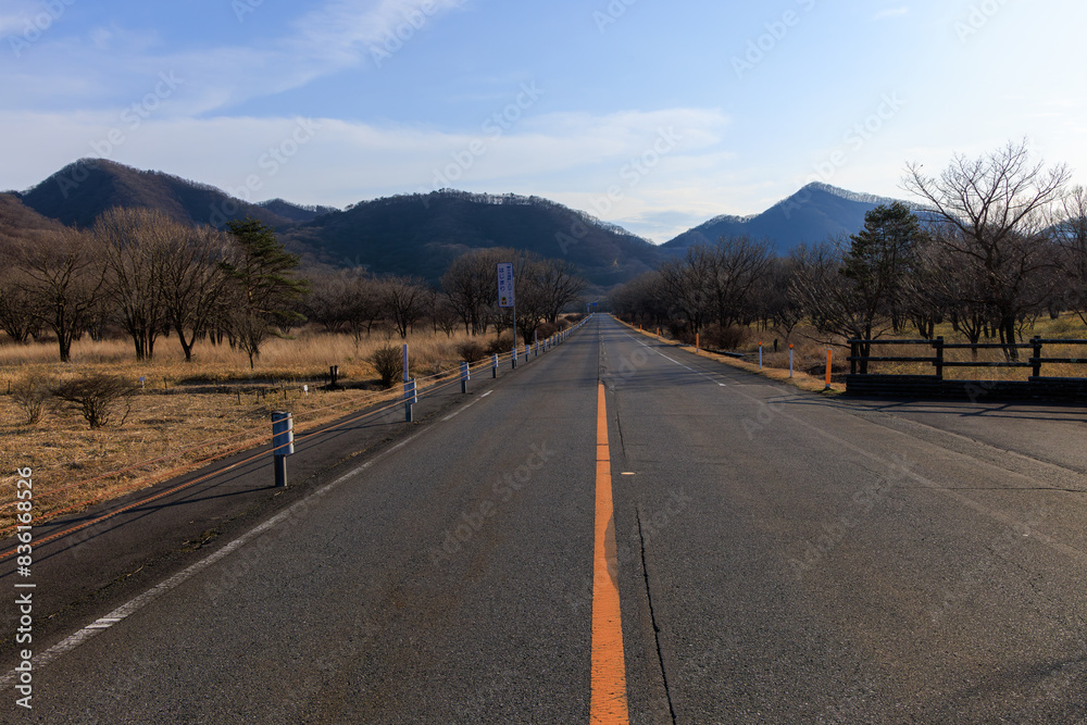 Naklejka premium 早春の榛名湖へ続く直線道路