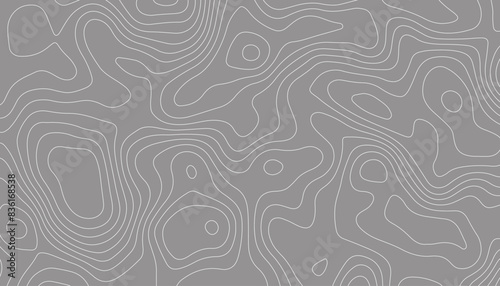 Background of the topographic map.  Abstract geographic grid. Topographic map lines, contour background.