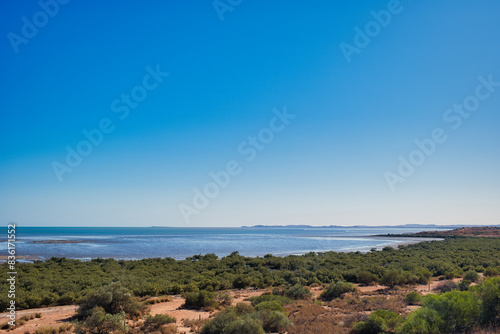 The mangrove coast of the Indian Ocean at the remote town of Karratha, Western Australia

