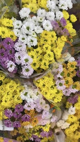 flowers in the garden