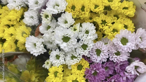 yellow and blue flowers