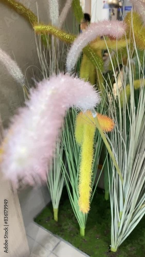 flowers for interior decoration