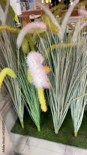 flowers for interior decoration