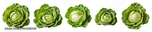 Wallpaper Mural Set of fresh lettuce isolated on transparent background. Torontodigital.ca