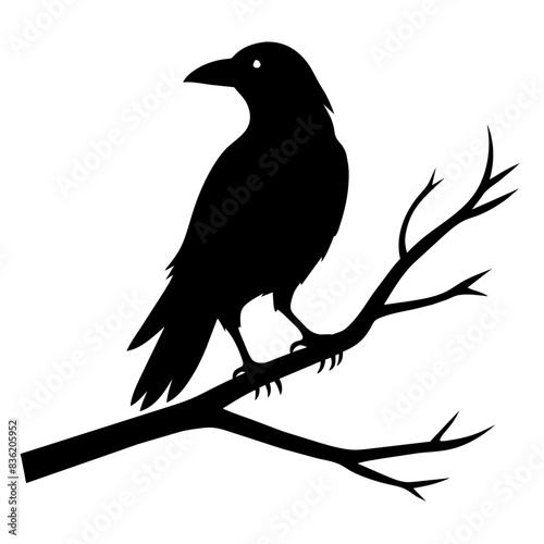  Crow setting on a branch vector silhouette illustration 