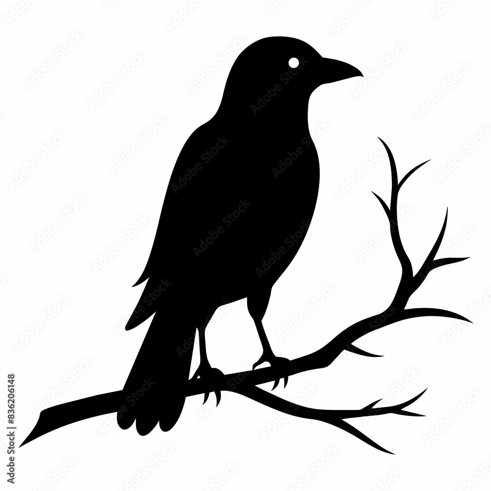 Fototapeta premium Crow setting on a branch vector silhouette illustration 