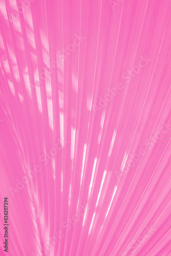 Pink magenta corrugated palm leaf pattern background