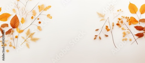 Autumn leaves rest on a soft pastel backdrop providing a banner with plenty of copy space imagery.