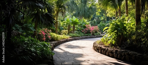 A picturesque walkway at Harry P. Leu Gardens with a diverse array of palm trees lining both sides, with a blurred background for adding text or images. Copy space image