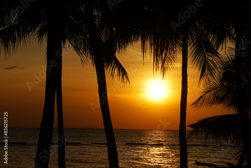 Landscape Tranquil scene of big red sun and orange sky sunset over the sea and silhouette coconut tree at pattaya Thailand.