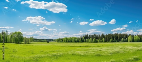 Beautiful sunny weather graces a grassland farming landscape with a lush green pasture  ideal for a serene setting with vast expanses of greenery perfect for copy space images.