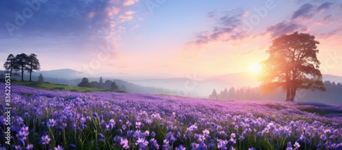 Fototapeta Naklejka Na Ścianę i Meble -  Captivating countryside scene at sunrise with blooming purple flowers in a spring meadow and wildflowers at sunset, creating a serene summer panoramic view with copy space image.