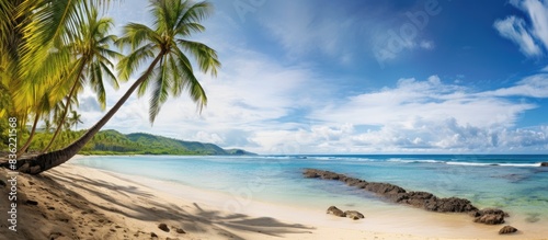 Tropical beach scene with a palm tree set against a blue sky with white clouds. Retro filter adds a vintage touch  ideal as a summer vacation or business travel copy space image.