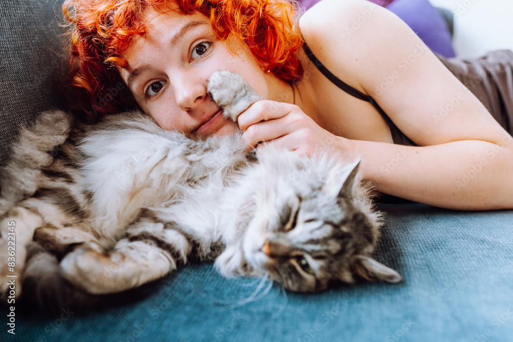portrait red-haired teenage girl with gray fluffy cat portrait red-haired teenage girl with gray fluffy cat