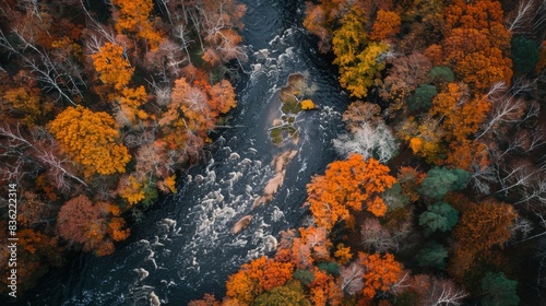 Aerial view of a small river winding through a forest with vibrant autumn colors. © neatlynatly