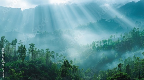 Sunlight streaming through a mountain valley with mist and green trees  creating a serene landscape.