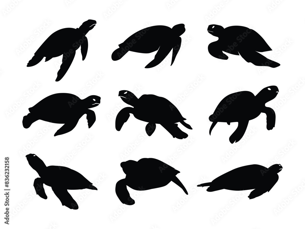 Turtle marine animal silhouette. Set of Sea turtle vector illustration. Turtle marine animal silhouette. Set of Sea turtle vector illustration.