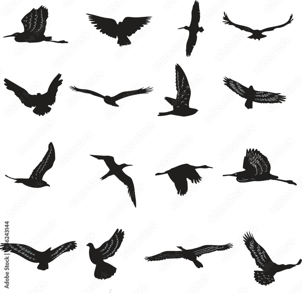 Fototapeta premium set of silhouettes of birds