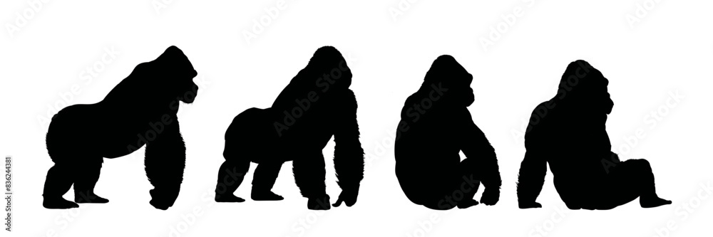 set of gorilla silhouette - vector illustration set of gorilla silhouette - vector illustration