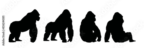 set of  gorilla silhouette - vector illustration photo