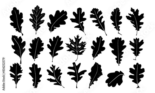 Oak leaves silhouette collection