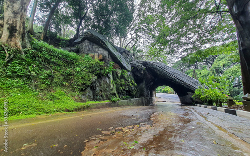 This striking stock photo captures the historic rock piercing at Kadugannawa Pass, a marvel of engineering from British colonial times in Sri Lanka. Carved through solid rock, this iconic pass offers  photo