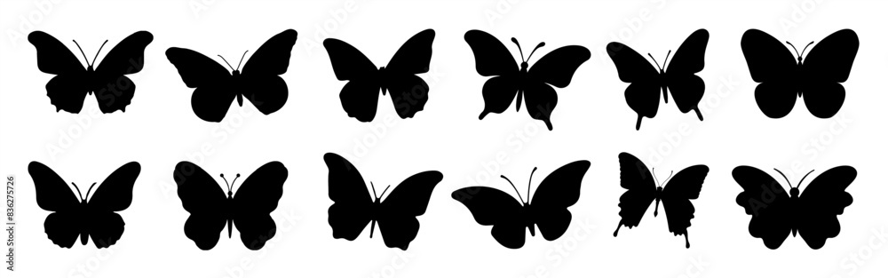 Flying butterflies silhouette black set isolated on white background. Flying butterflies set. Flying butterflies silhouette black set isolated on white background. Flying butterflies set.