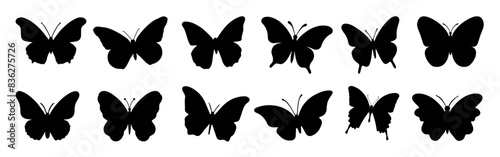 Flying butterflies silhouette black set isolated on white background. Flying butterflies set.