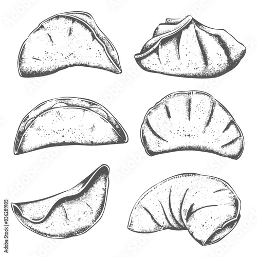 Hand-Drawn Vintage Style Dumpling Collection: Six Unique Perspectives