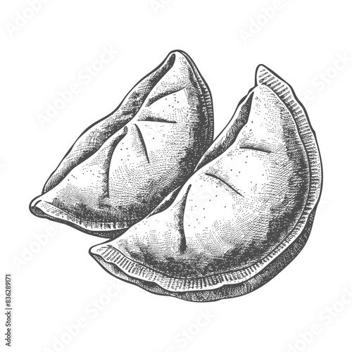 Hand-Drawn Engraving of Two Delicate Half-Moon Shaped Dumplings