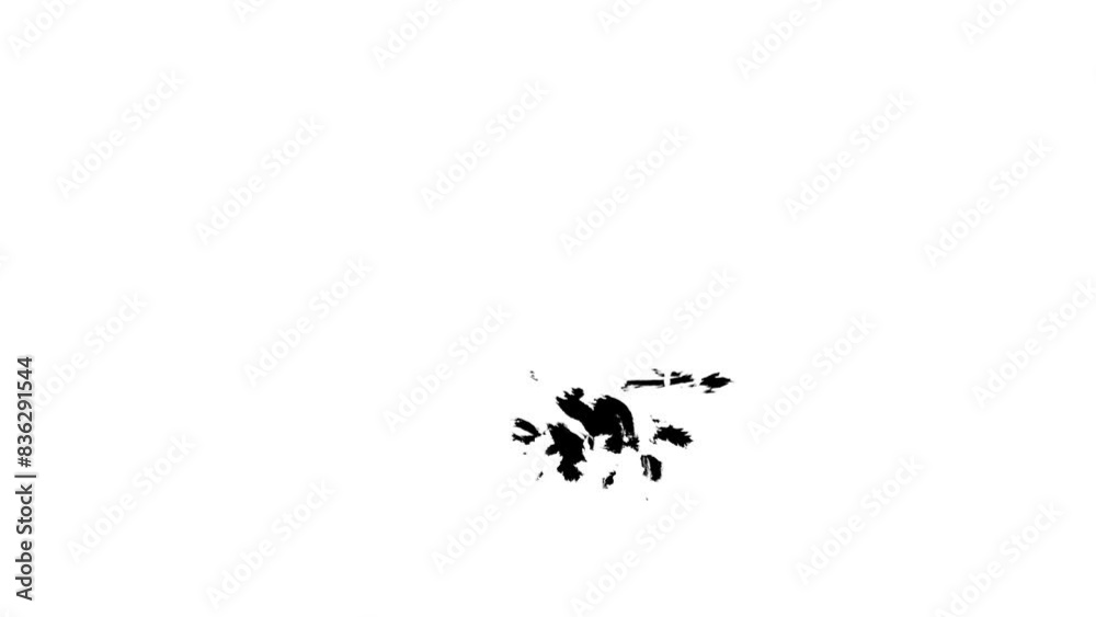 animated video of splashes of black ink liquid animated video of splashes of black ink liquid