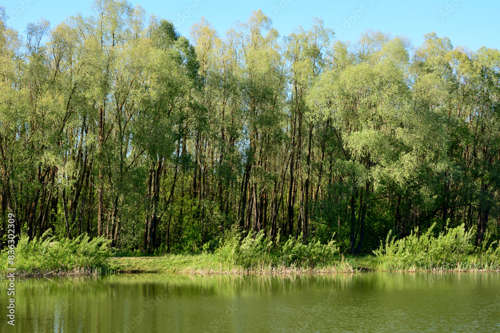 Obraz premium a lake with a few green trees in the background 